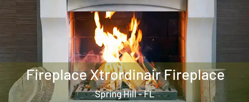  Fireplace Xtrordinair Fireplace Spring Hill - FL