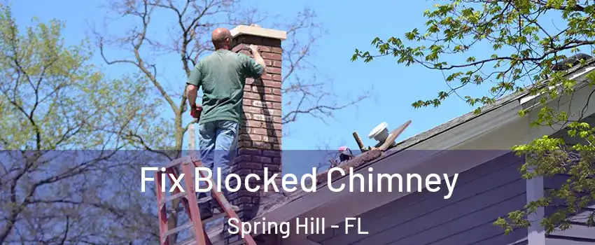  Fix Blocked Chimney Spring Hill - FL