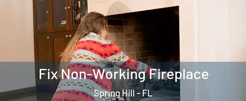  Fix Non-Working Fireplace Spring Hill - FL