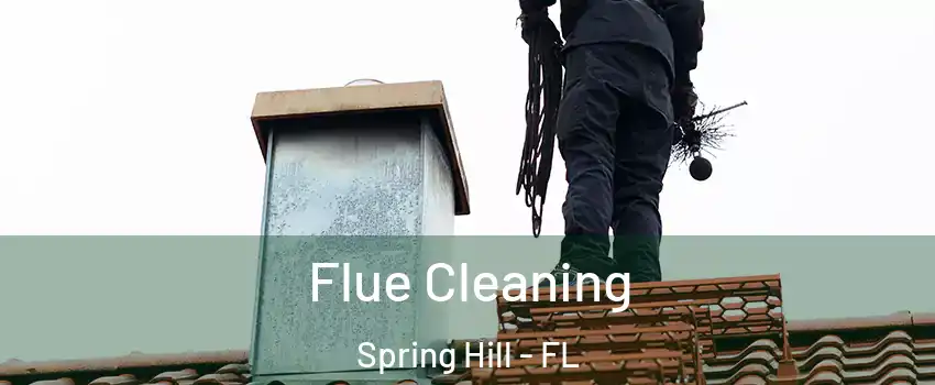  Flue Cleaning Spring Hill - FL