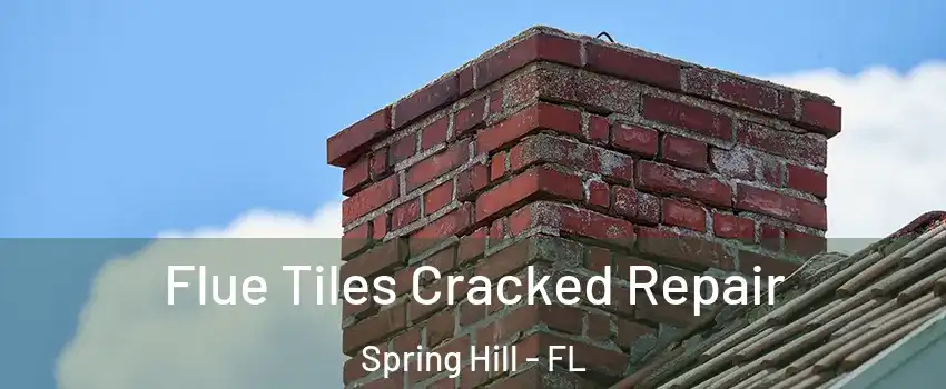  Flue Tiles Cracked Repair Spring Hill - FL