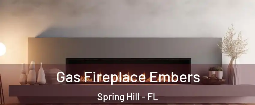  Gas Fireplace Embers Spring Hill - FL