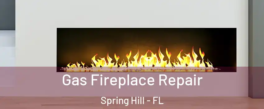 Gas Fireplace Repair Spring Hill - FL