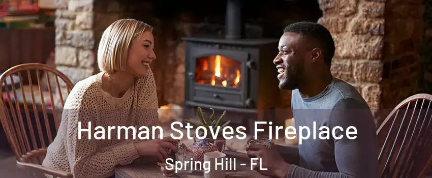  Harman Stoves Fireplace Spring Hill - FL