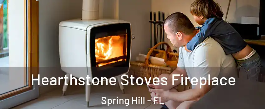  Hearthstone Stoves Fireplace Spring Hill - FL
