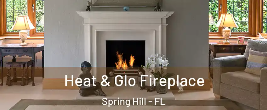  Heat & Glo Fireplace Spring Hill - FL