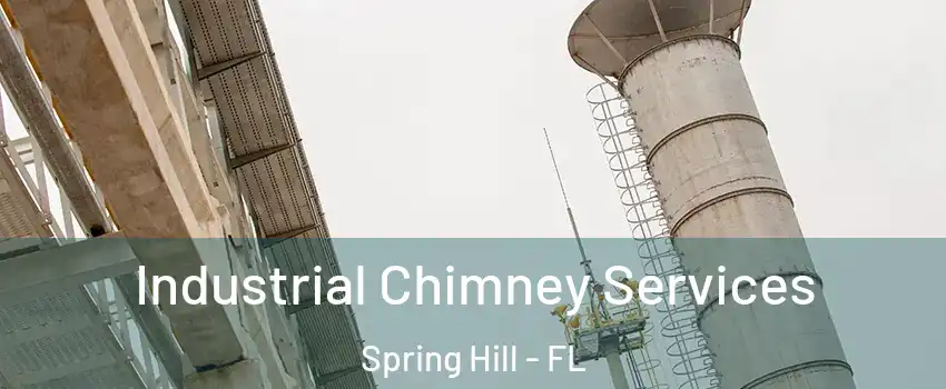  Industrial Chimney Services Spring Hill - FL