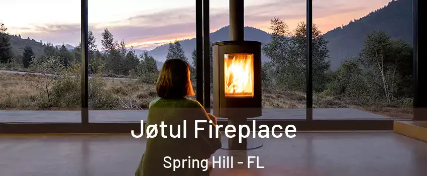  Jøtul Fireplace Spring Hill - FL