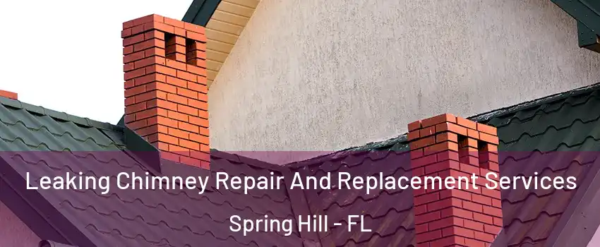  Leaking Chimney Repair And Replacement Services Spring Hill - FL