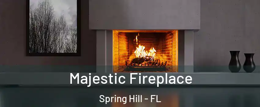  Majestic Fireplace Spring Hill - FL