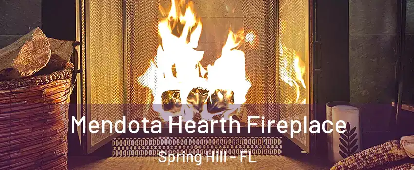  Mendota Hearth Fireplace Spring Hill - FL