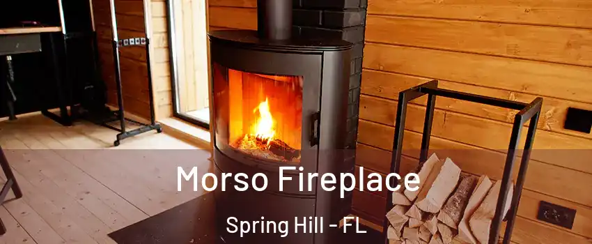  Morso Fireplace Spring Hill - FL