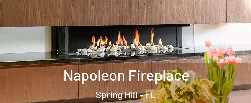  Napoleon Fireplace Spring Hill - FL