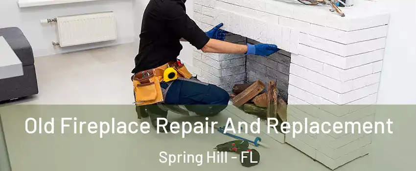 Old Fireplace Repair And Replacement Spring Hill - FL