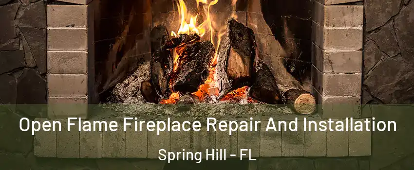  Open Flame Fireplace Repair And Installation Spring Hill - FL