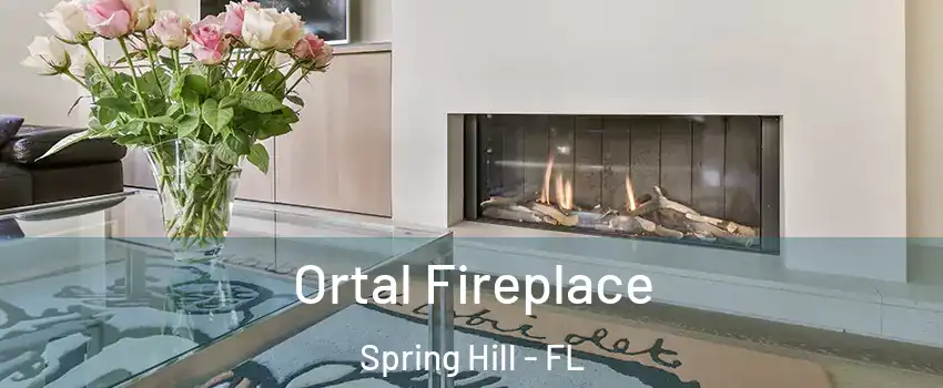  Ortal Fireplace Spring Hill - FL