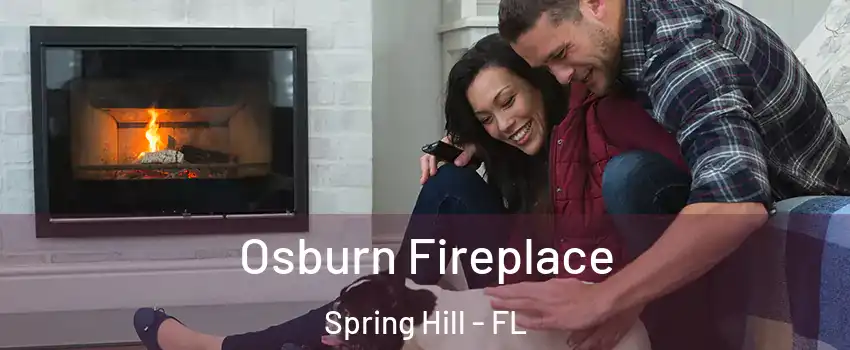  Osburn Fireplace Spring Hill - FL