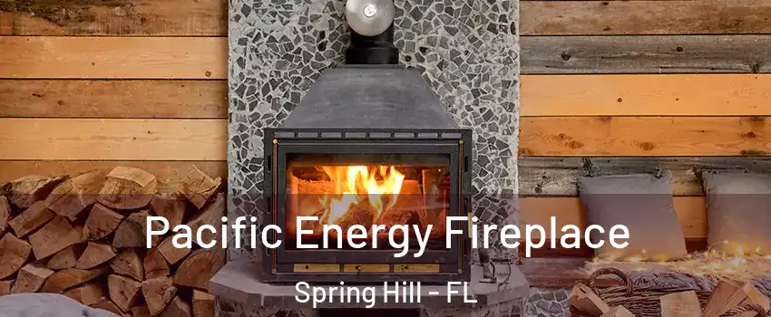  Pacific Energy Fireplace Spring Hill - FL