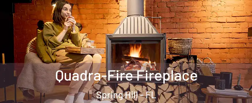  Quadra-Fire Fireplace Spring Hill - FL