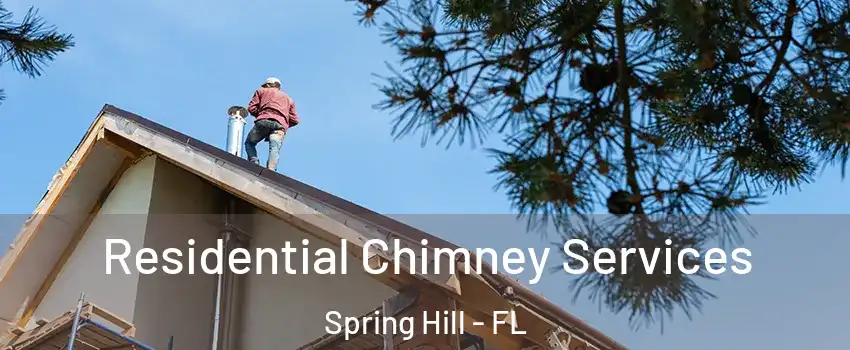  Residential Chimney Services Spring Hill - FL