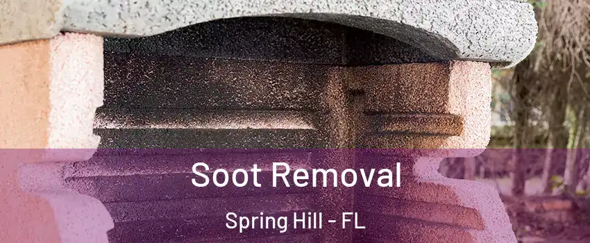  Soot Removal Spring Hill - FL