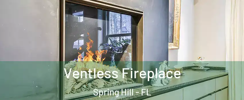  Ventless Fireplace Spring Hill - FL