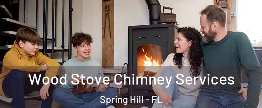  Wood Stove Chimney Services Spring Hill - FL