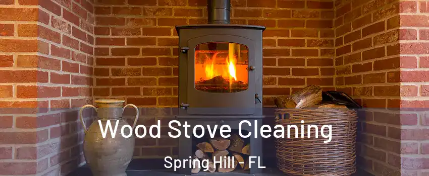  Wood Stove Cleaning Spring Hill - FL